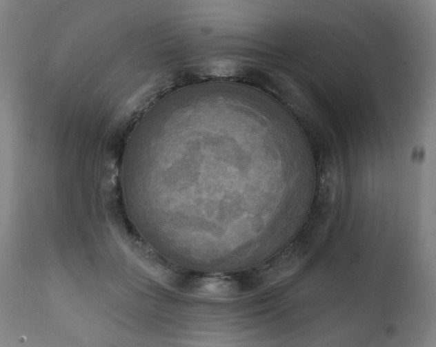 X0000111220555200907091314