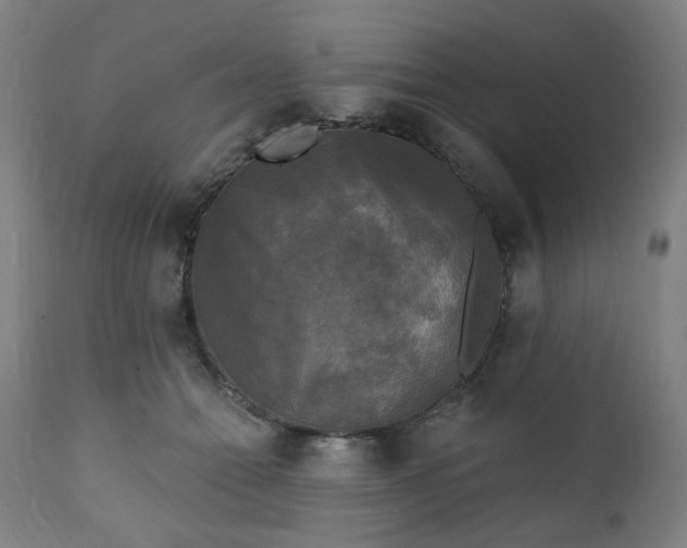 X0000111220558200907091315