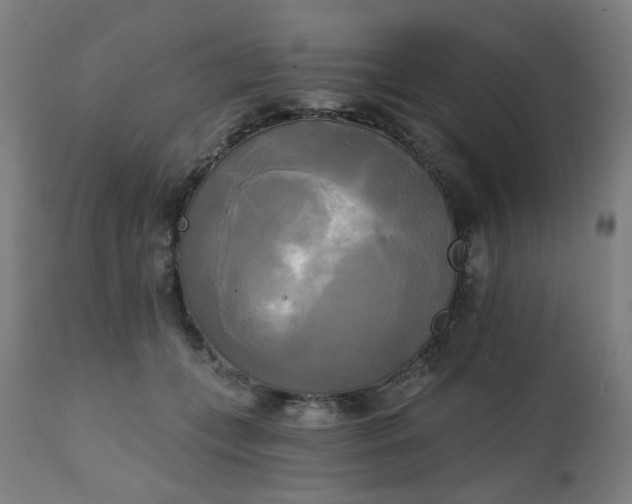X0000111220559200907091315