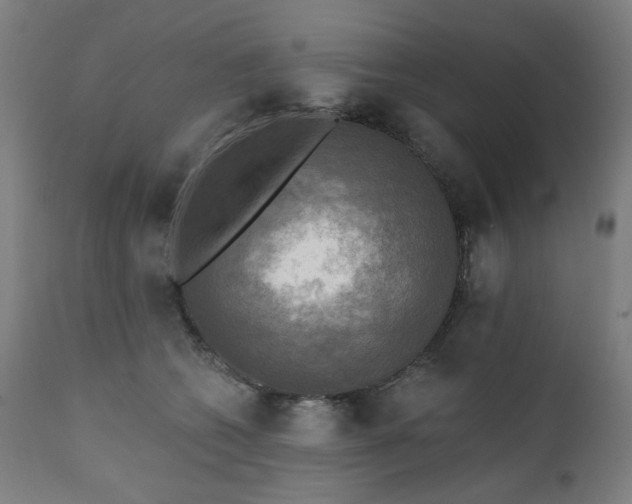 X0000111220562200907091315