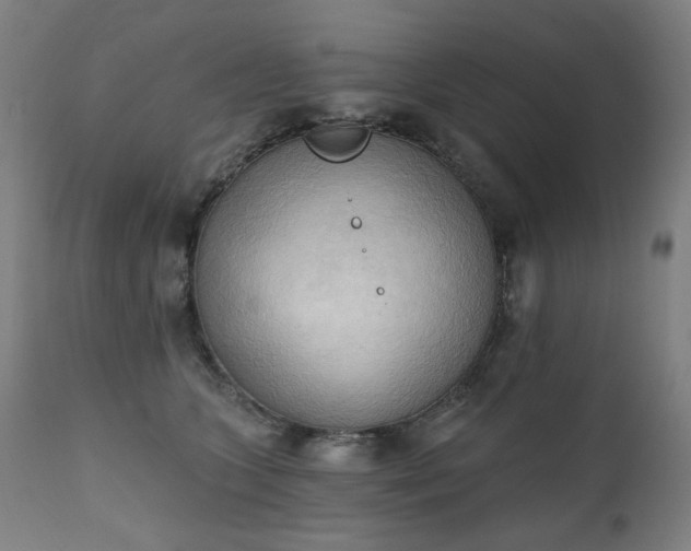 X0000111220563200907091315