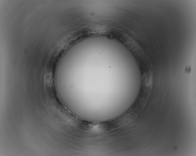 X0000111220564200907091315