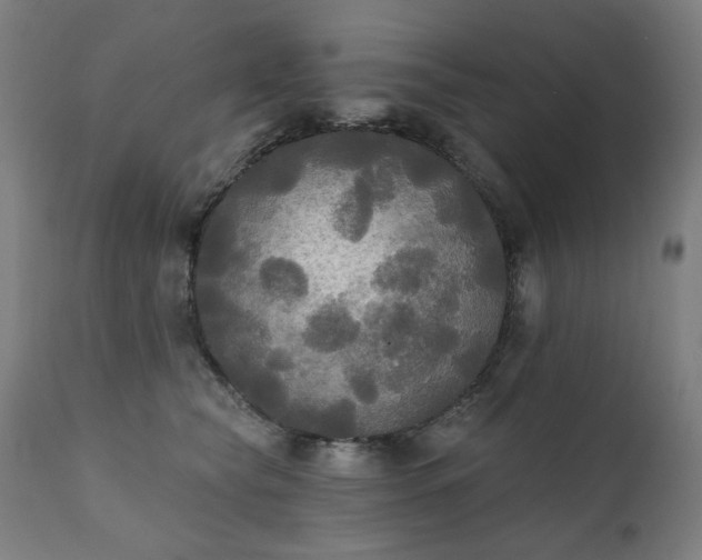 X0000111220565200907091315