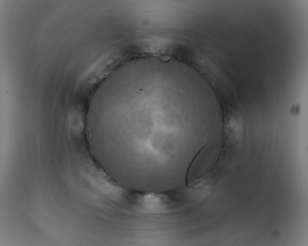 X0000111220566200907091315