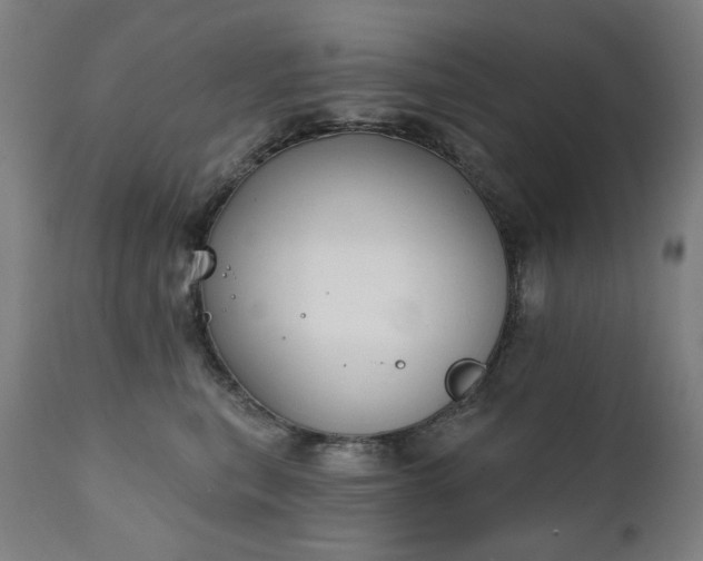 X0000111220567200907091315