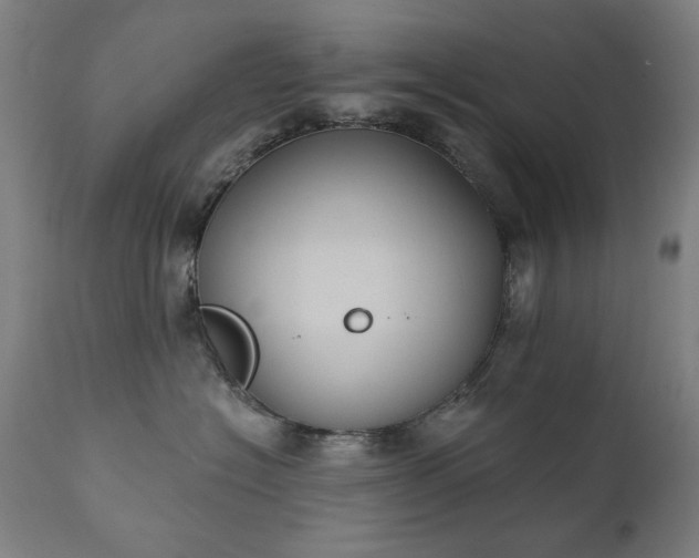 X0000111220574200907091315