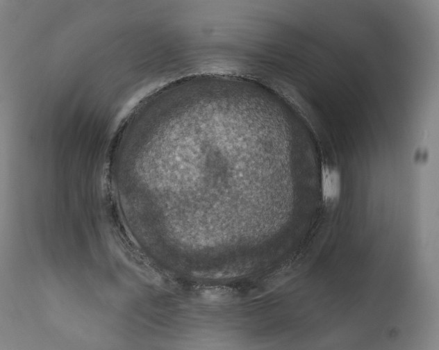 X0000111220579200907091314