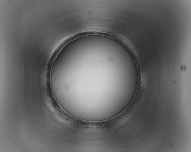 X0000111220580200907091314