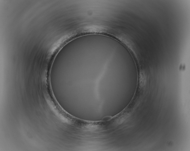X0000111220581200907091314
