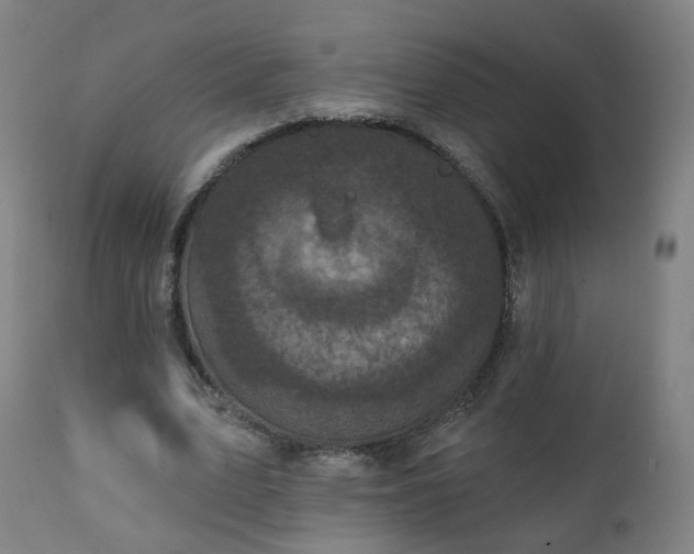 X0000111220583200907091314