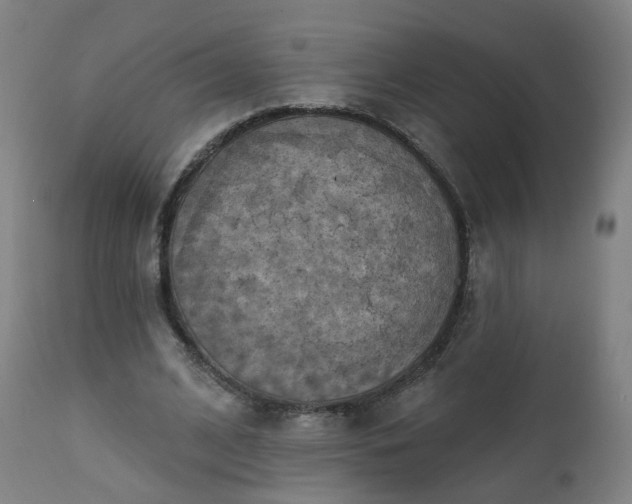 X0000111220584200907091314
