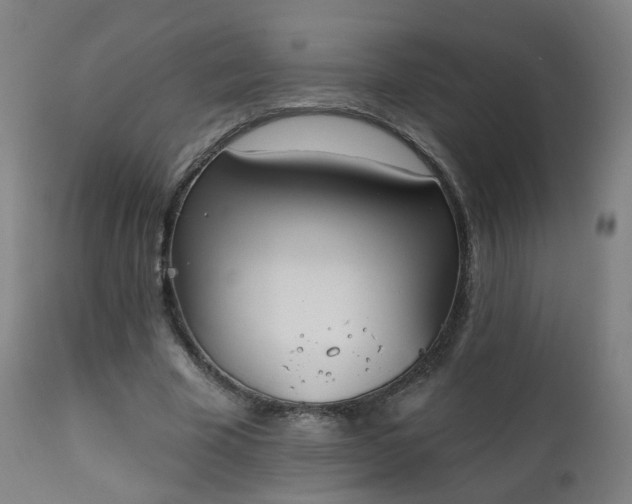X0000111220585200907091314