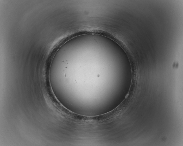 X0000111220587200907091314