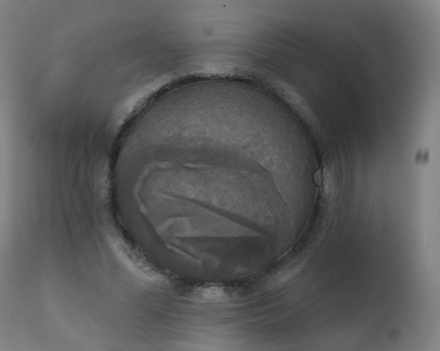 X0000111220588200907091314
