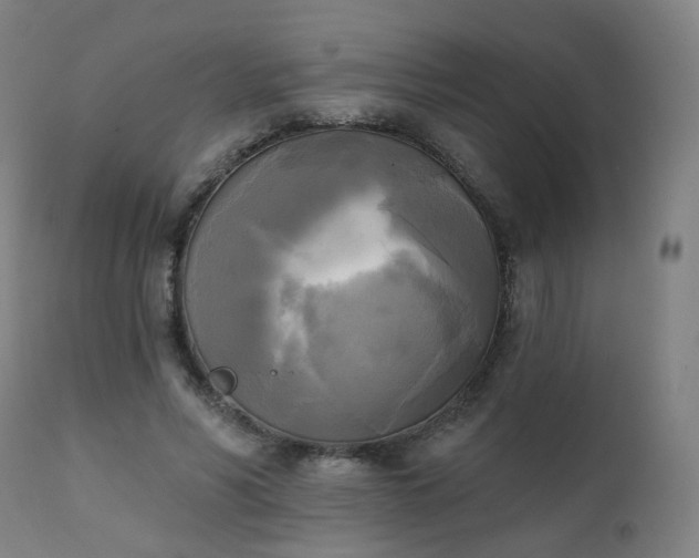 X0000111220590200907091314
