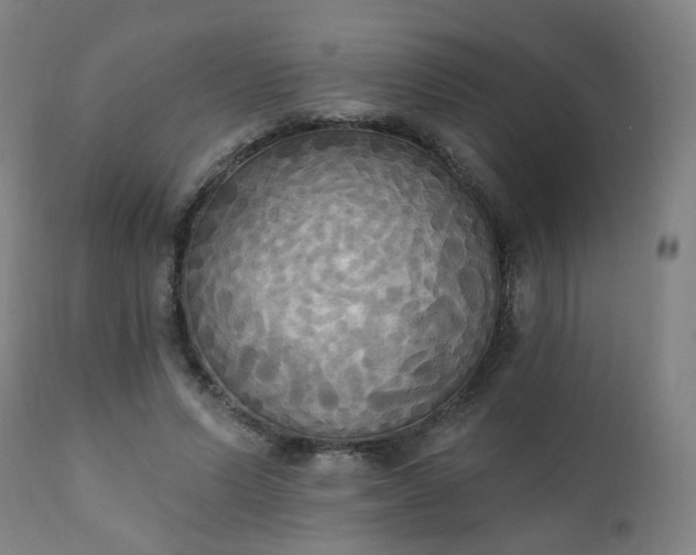 X0000111220591200907091314
