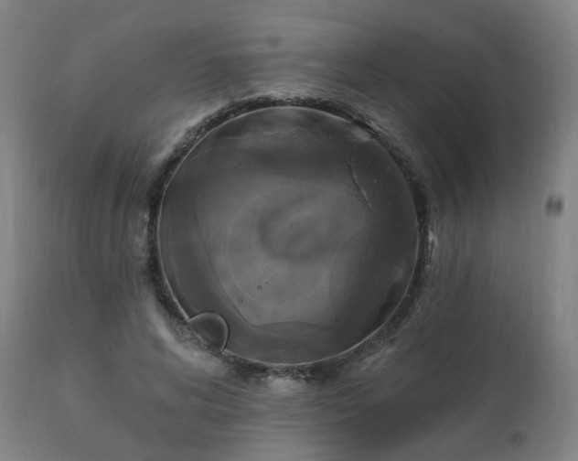 X0000111220592200907091314