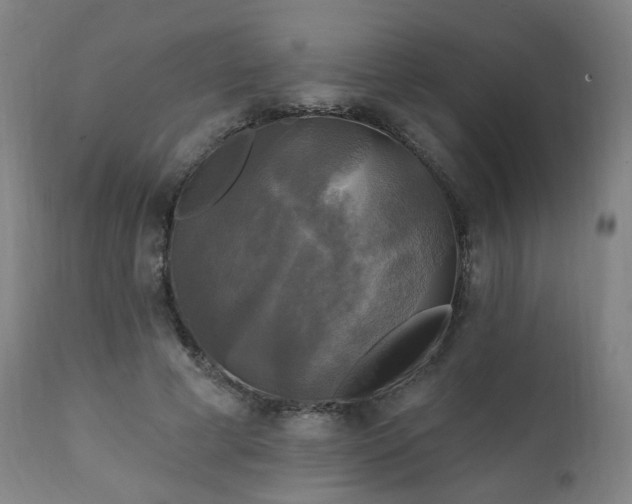 X0000111220593200907091314