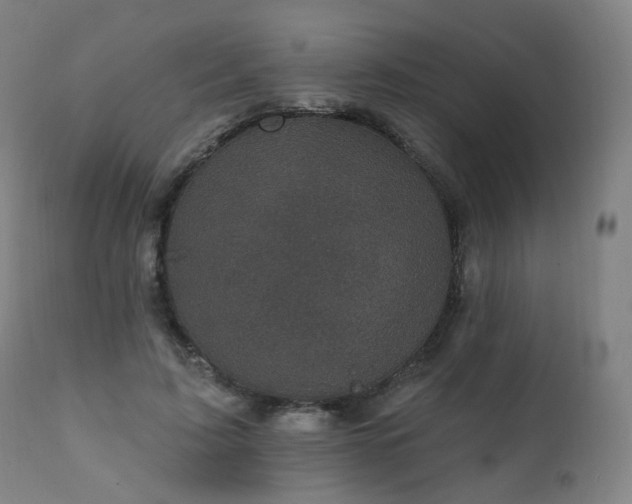 X0000111220595200907091314