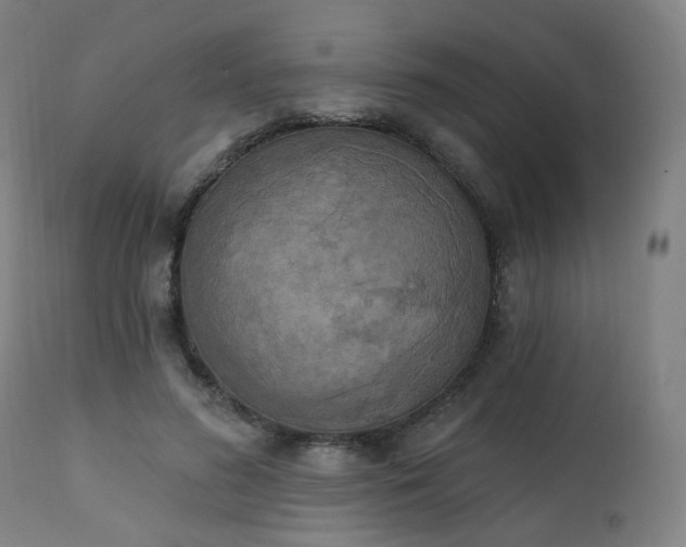 X0000111220596200907091314
