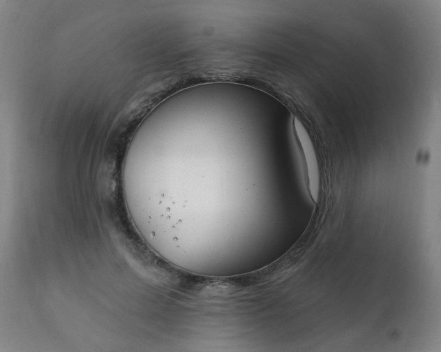 X0000111220599200907091314