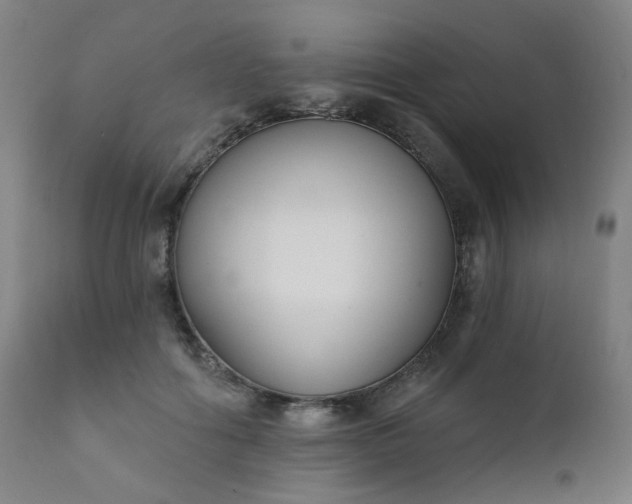 X0000111220602200907091314