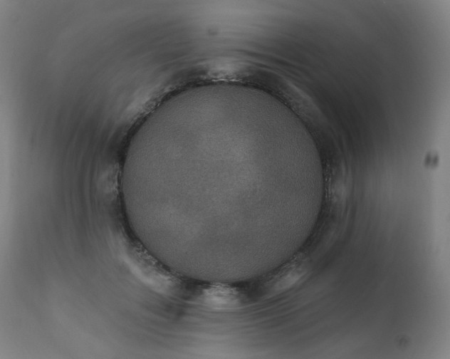 X0000111220603200907091314