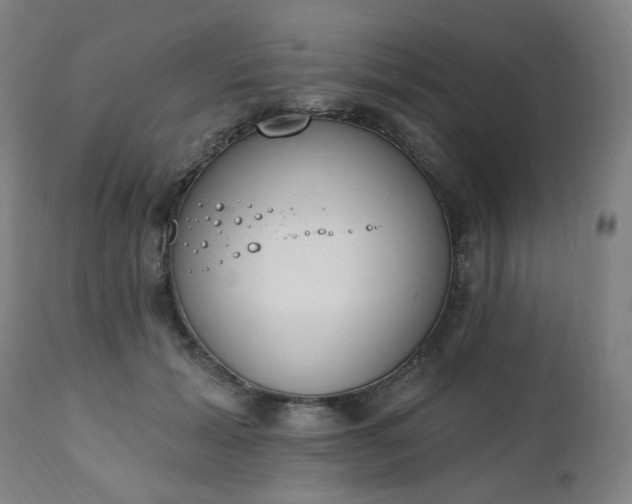 X0000111220605200907091314