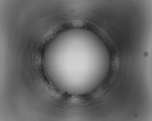 X0000111220608200907091314