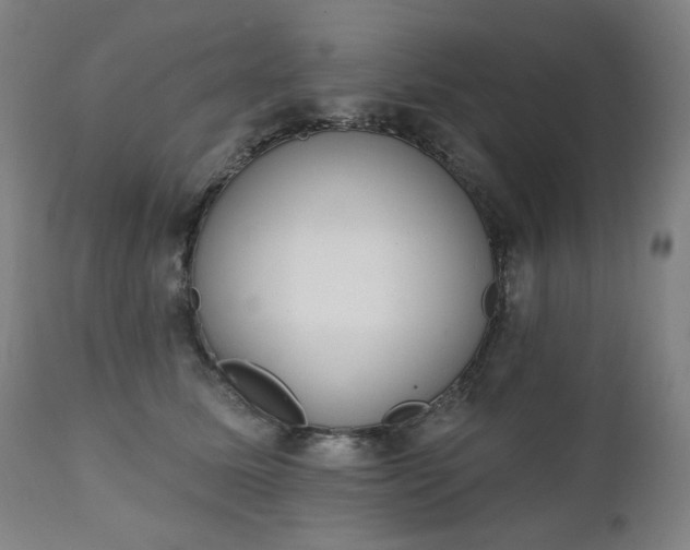 X0000111220611200907091313