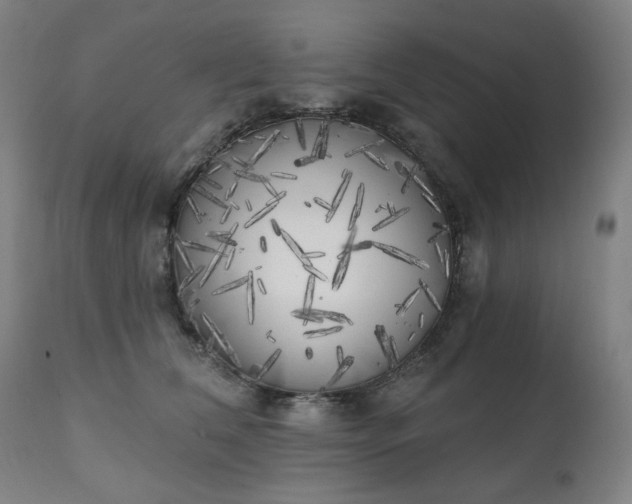 X0000111220612200907091313