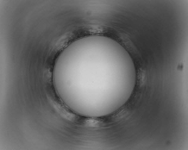 X0000111220614200907091313