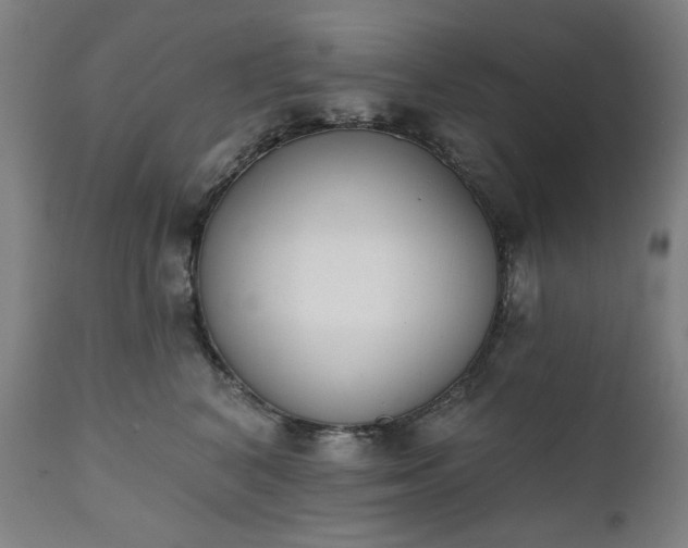 X0000111220616200907091313