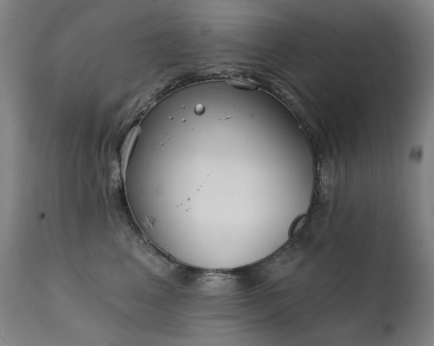 X0000111220617200907091313