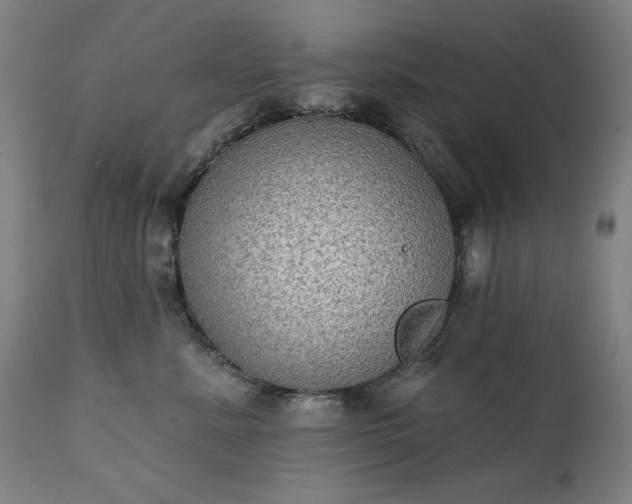 X0000111220619200907091313