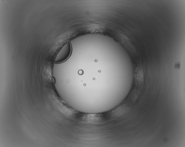 X0000111220622200907091313