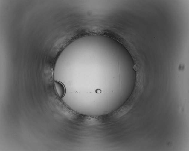 X0000111220624200907091313