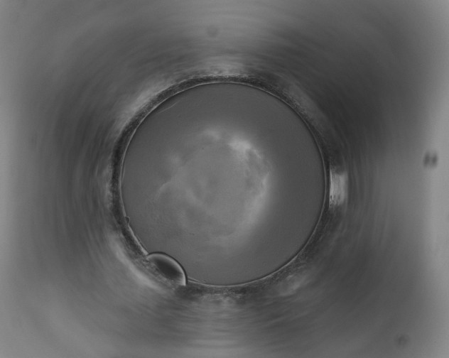 X0000111220627200907091312