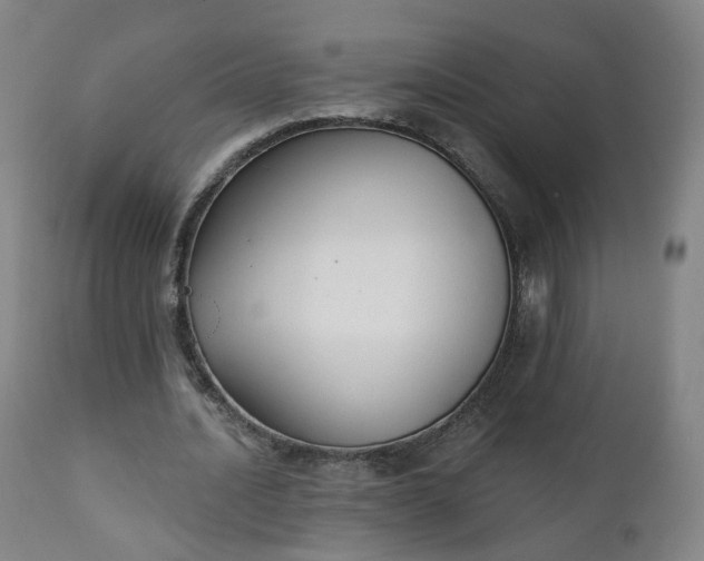 X0000111220628200907091312