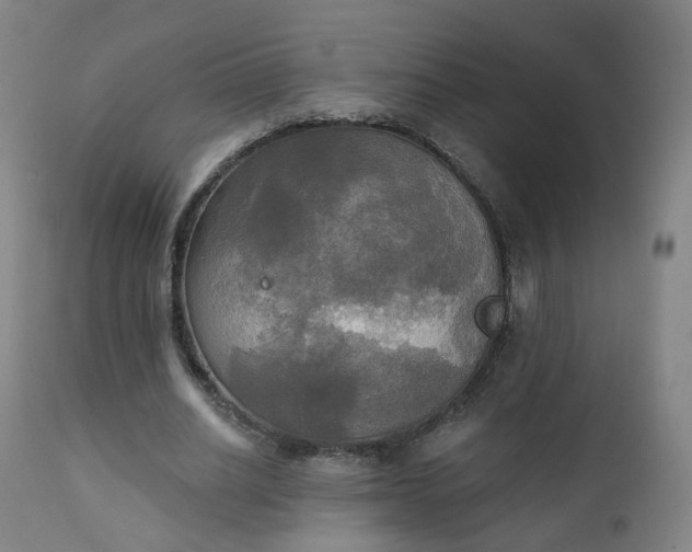 X0000111220630200907091312