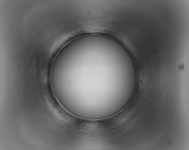X0000111220631200907091312