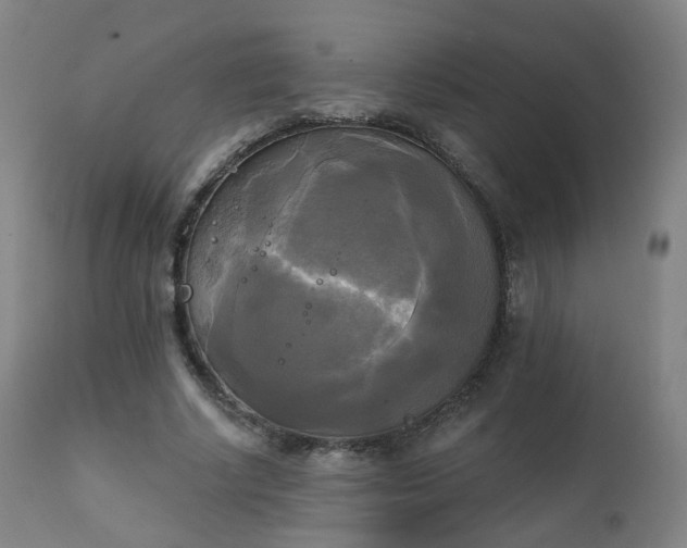 X0000111220634200907091312