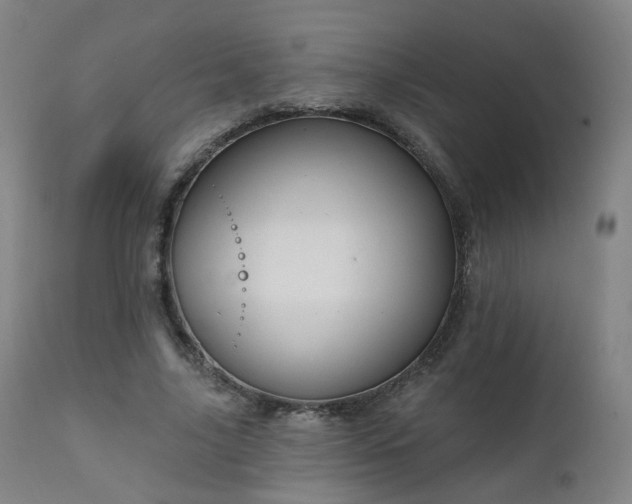 X0000111220635200907091312