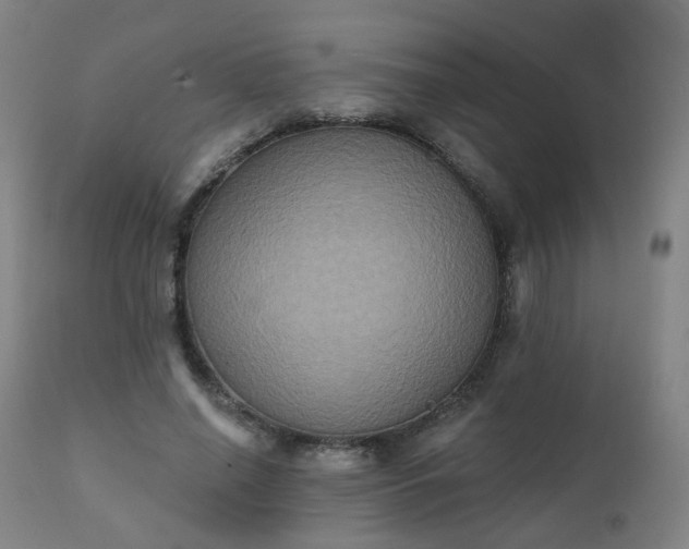 X0000111220638200907091312