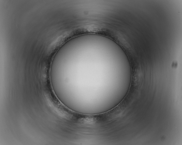 X0000111220639200907091312