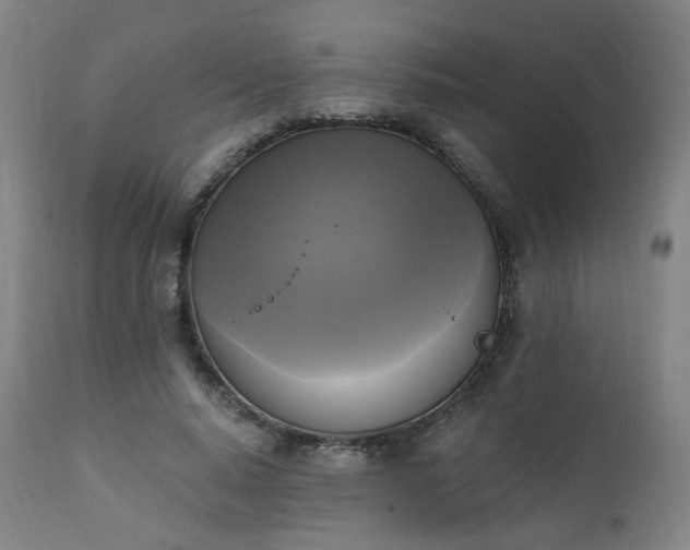 X0000111220640200907091313