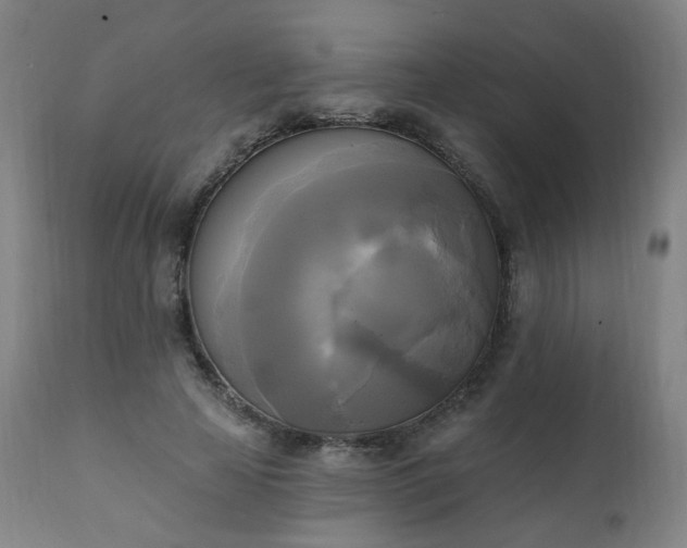 X0000111220641200907091313