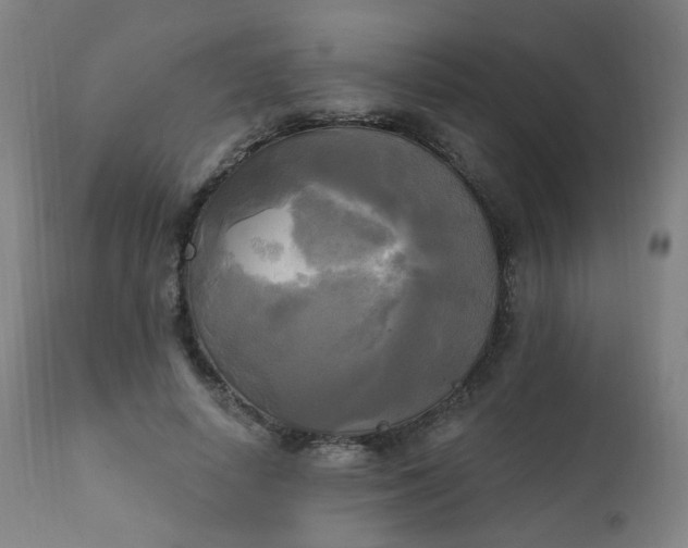 X0000111220642200907091313