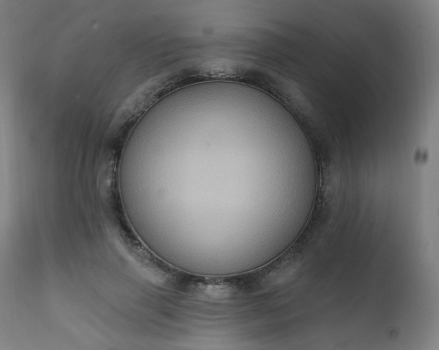 X0000111220645200907091313