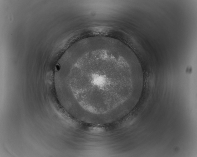 X0000111220649200907091313